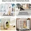 Disposable Puppy Potty Training Pads Dog Pee Pad All Size Disposable Pet Pee Mats Manufacturer Wholesale
