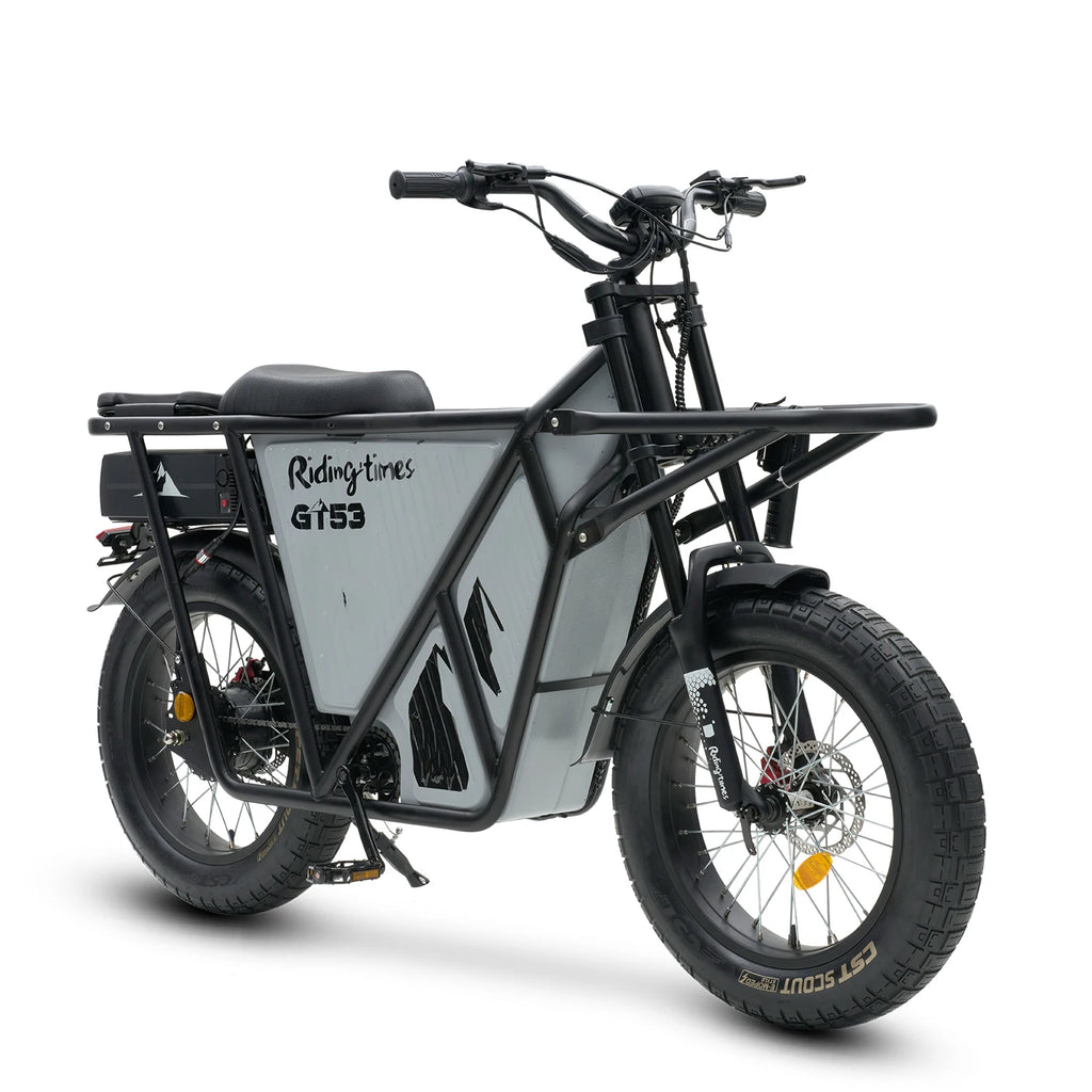 EU US Warehouse Electric Fat Tire Mountain Bike 2000w 25 Inch Off-road Motorcycle Tire 48V Cargo Electric Bike Motorcycles
