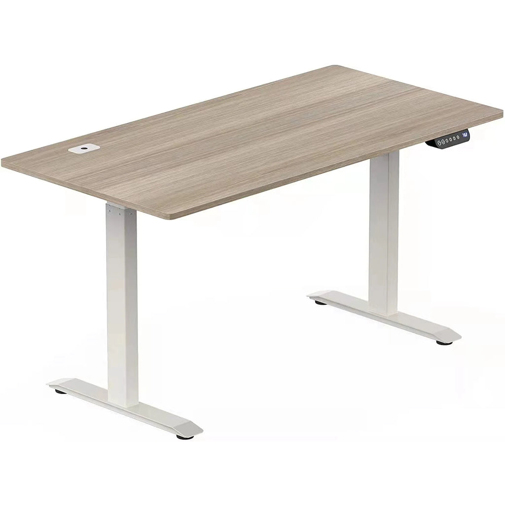 Ergonomic Height Adjustable Electric Standing Desk Load Capacity 120kg Flexispot Standing Desk