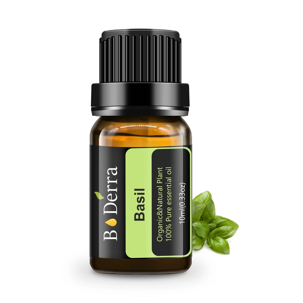 Top Grade 1kg Package Pure Sweat Basil Essential Oil Steam Distilled Borui Brand 24 Months Shelf Life Aromatherapy for Cosmetic