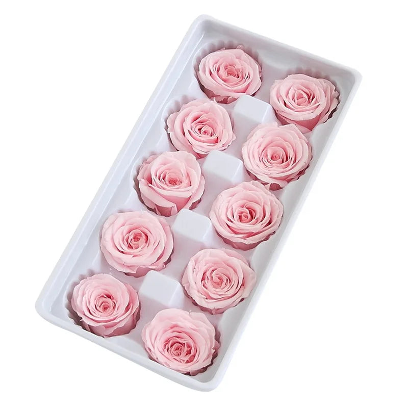 Factory Wholesale Preserved Rose Natural Flower Preserved Eternal Rose Heads Bud 4-5 cm in Bulk