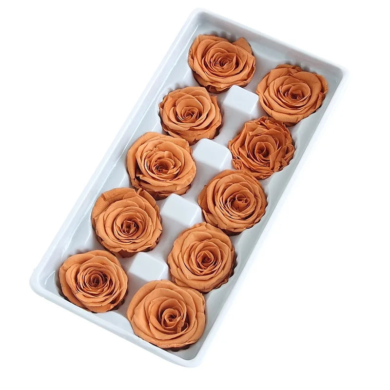 Factory Wholesale Preserved Rose Natural Flower Preserved Eternal Rose Heads Bud 4-5 cm in Bulk
