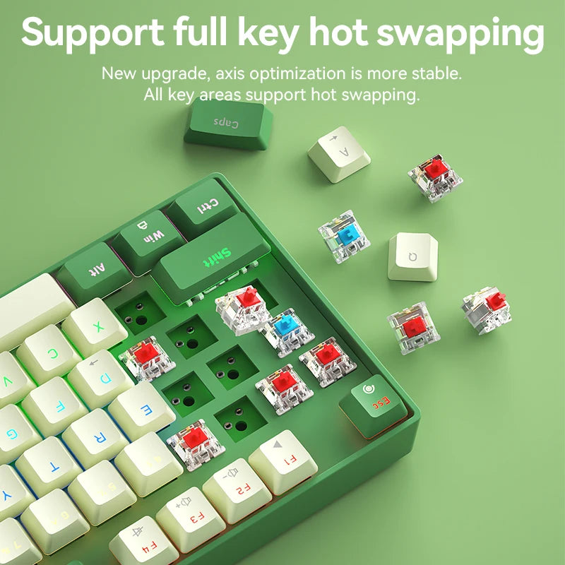 BOW New Arrival Hot Swap Ergonomic ABS Keycaps USB Type-c Wired Gaming Mechanical Keyboard for Computer Laptop