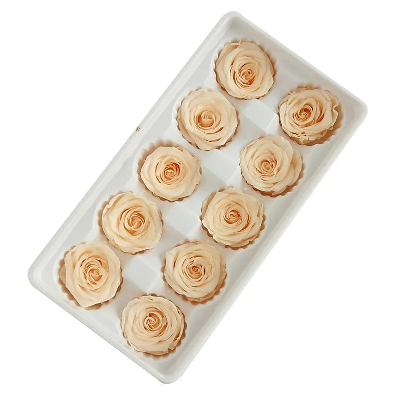 Factory Wholesale Preserved Rose Natural Flower Preserved Eternal Rose Heads Bud 4-5 cm in Bulk