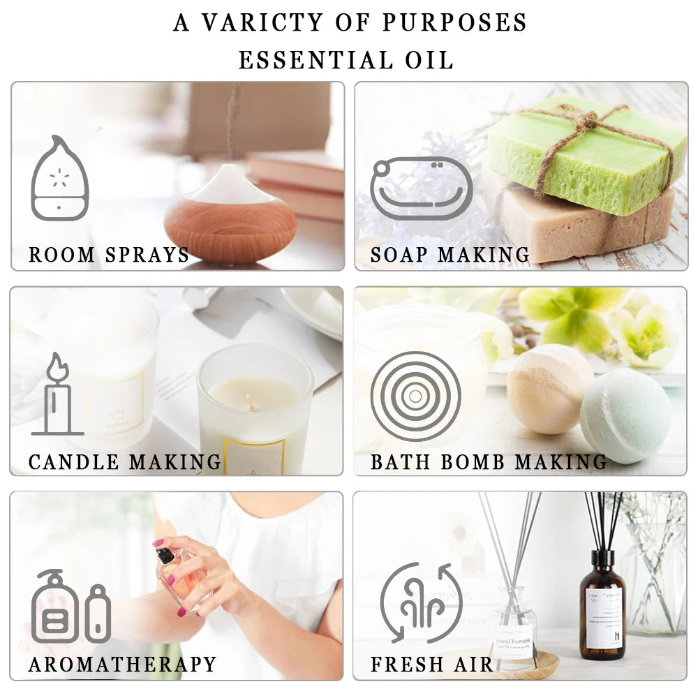 PHATOIL 10ml Fragrance Oil with Dropper White Musk Bubble Gum Sea Breeze Vanilla & Coconut  Coffee Aromatherapy Fragrance Oils