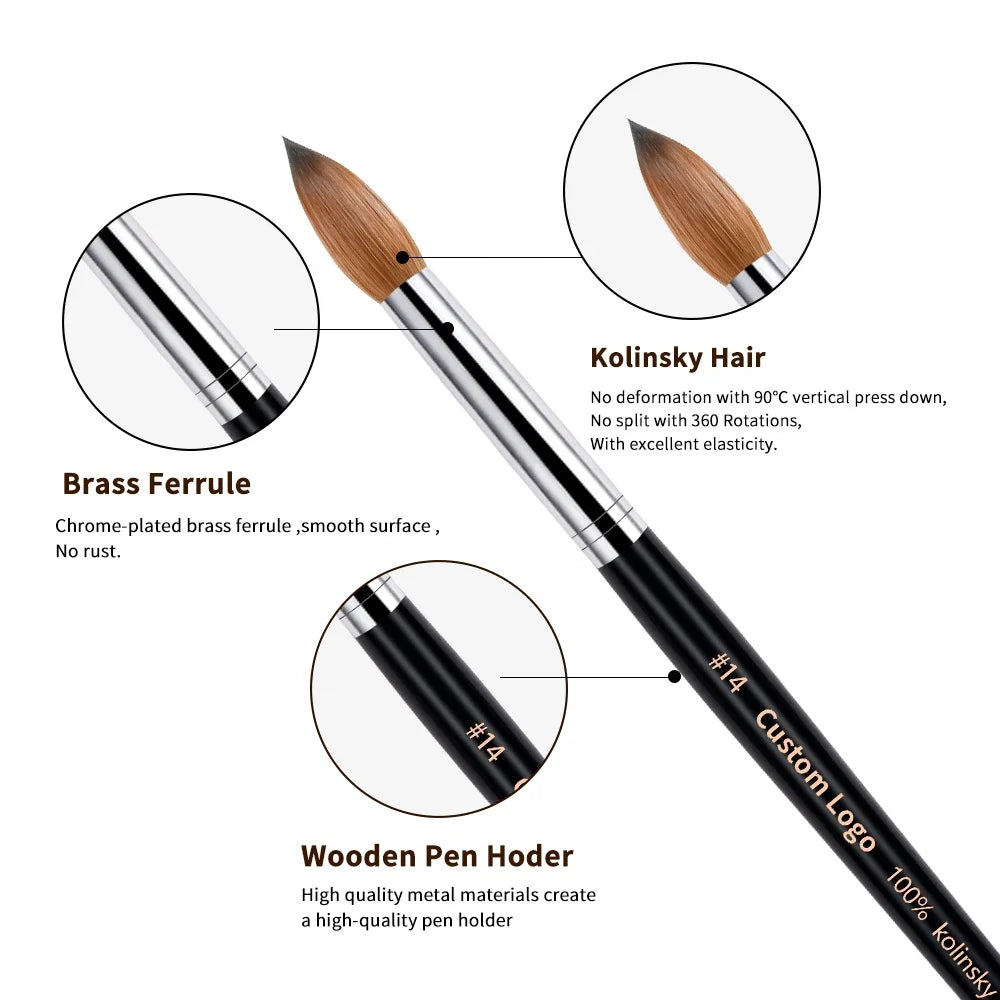 TITIAN OEM Packaging Black Wooden Oval 100% Kolinsky Acrylic Nail Brush Wholesale for Nails Art Size 8 10 12 14 16 18 20 22