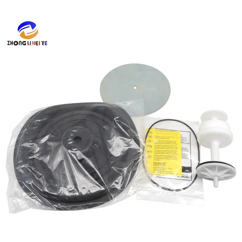 FRS 5065 DN65 Repair Kit German Dungs Gas Pressure Regulator FRS 5065 DN65 Spare Parts in Boiler