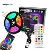 12V IR Control Indoor Decoration 5m 10m Waterproof SMD 5050 LED Strip Lights