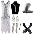Halloween Cosplay Dress for Women 1920s Vintage Flapper Long Fringe Beaded Gatsby Party Dress With 20s Accessories Set