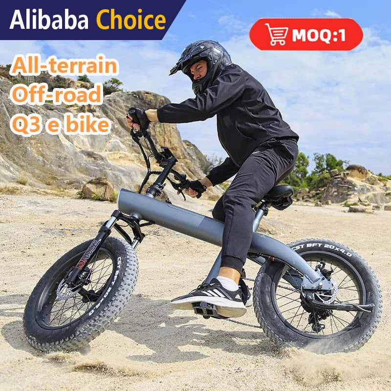 Europe and USA 250W Cruise Speed Electric Bike City and Off-Road 20 Inch Mountain Ebike with Rear Hub Motor for Man