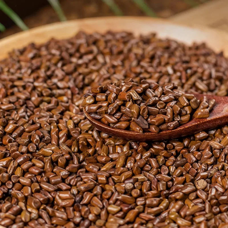 Wholesale Bulk High Quality Natural Dried Herbs Tea Jue Ming Zi Cassia Seed Tea Senna Tora Seeds