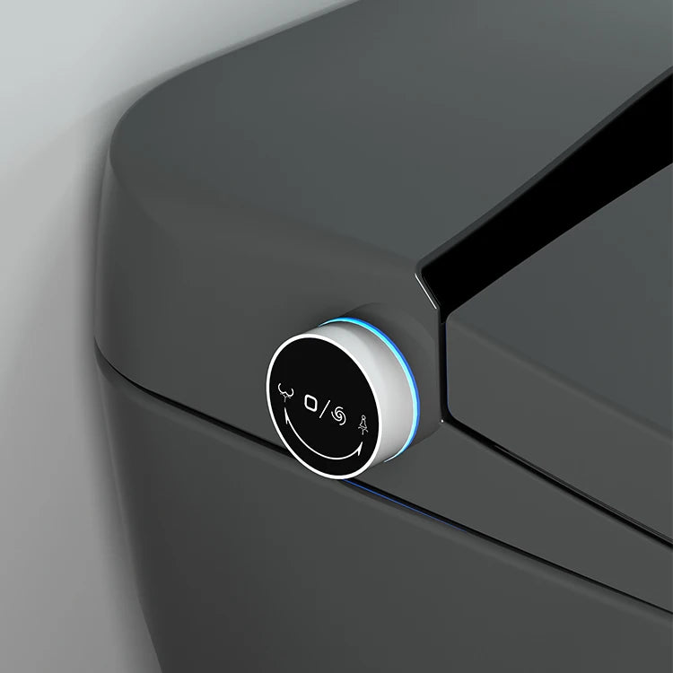 Automatic flushing without water tank integrated black electronic intelligence