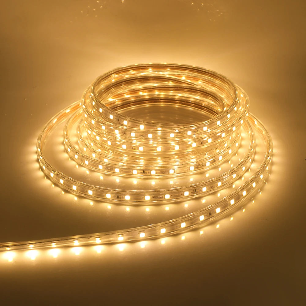 1-100M LED Tape AC220V LED 60-276LEDS With EU SMD 2835 5050 High Safety Brightness Flexible Strip Outdoor Waterproof Strip Light