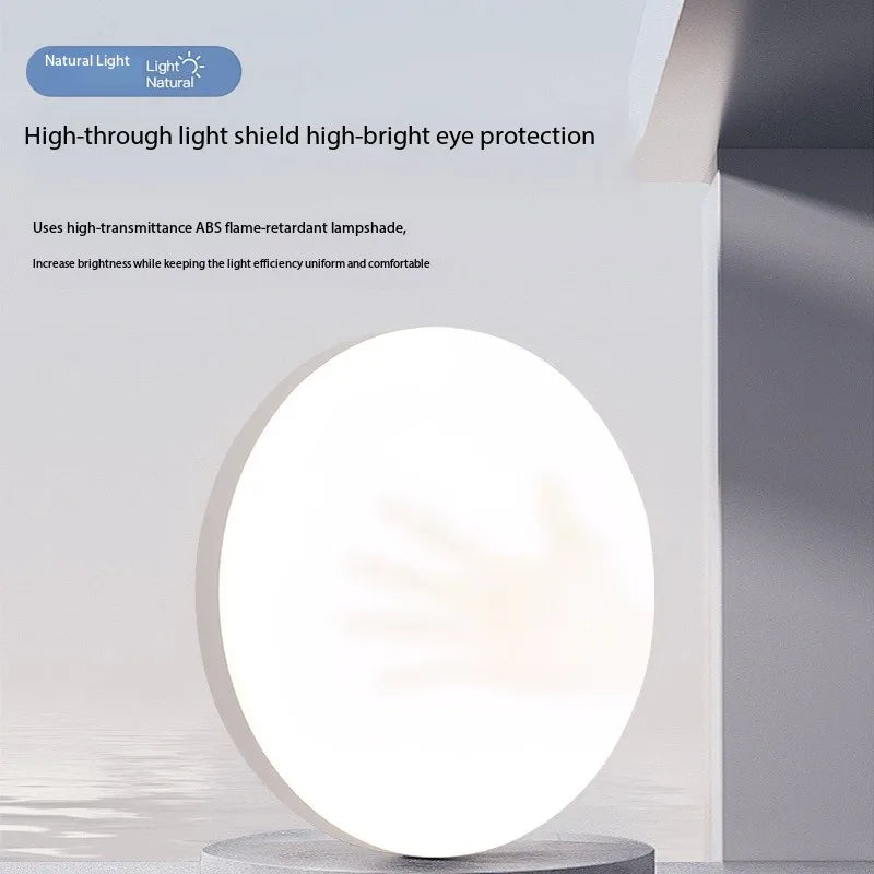 Modern LED Ceiling Light Fixture for Living Room and Bedroom Energy Saving
