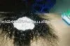 100% Unprocessed Virgin Hair , Kinky Curly Hair