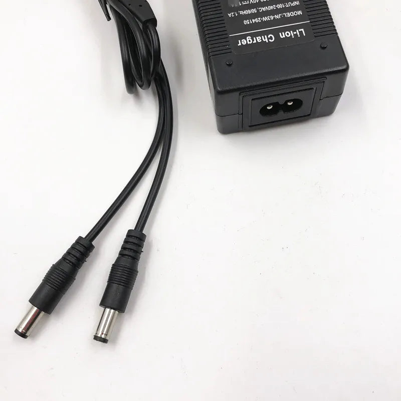 29.4V 2A Hovershoes Battery Charger For Sakteboard Hovershoes Self Balancing Smart  Hover Roller Skates Shoes