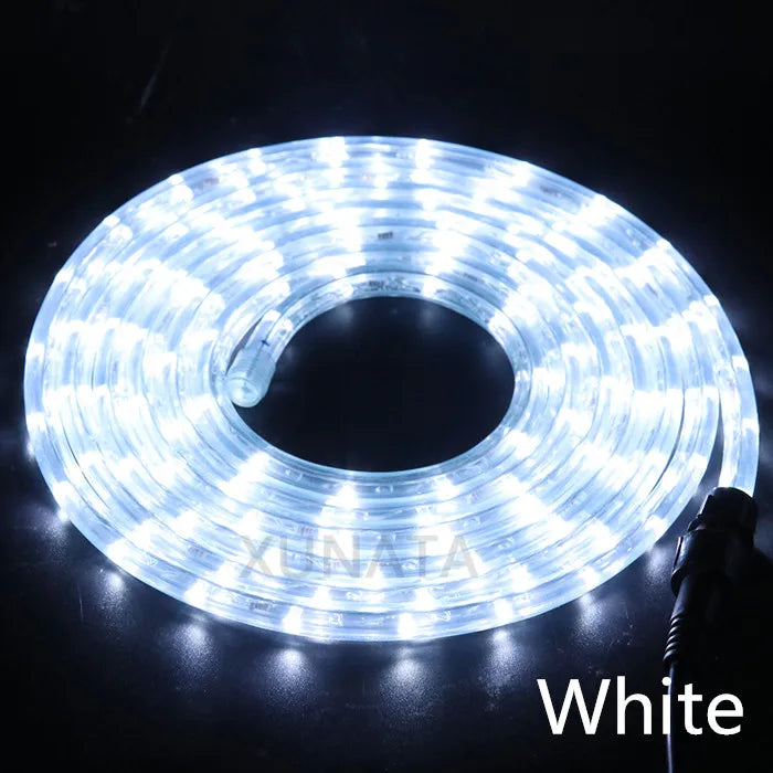 EU 220V LED Rope Tube String Fairy Lights 360 Degree Ligthing Waterproof Outdoor Garden Lamp Rainbow Led Strip