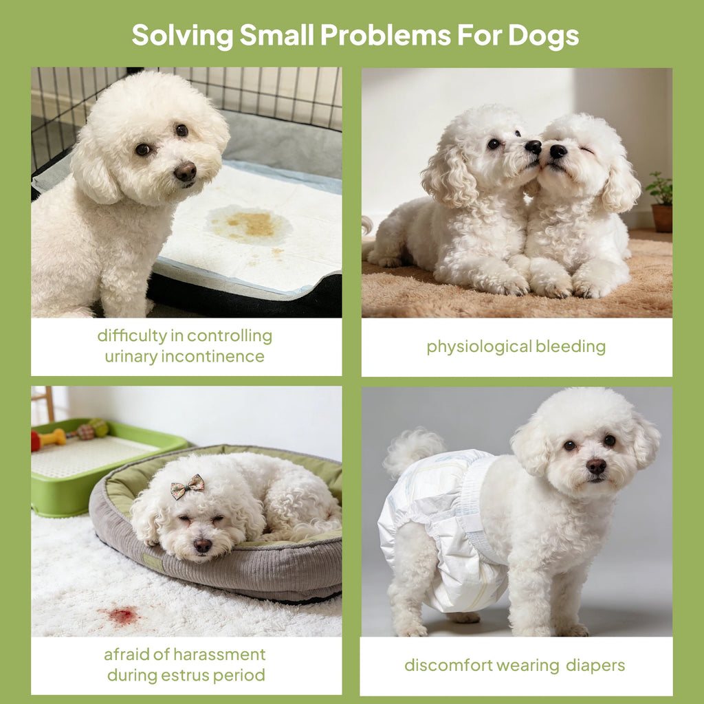 Disposable Female Dog Diapers Super Absorbent Leak-Proof for Heat Incontinence Travel