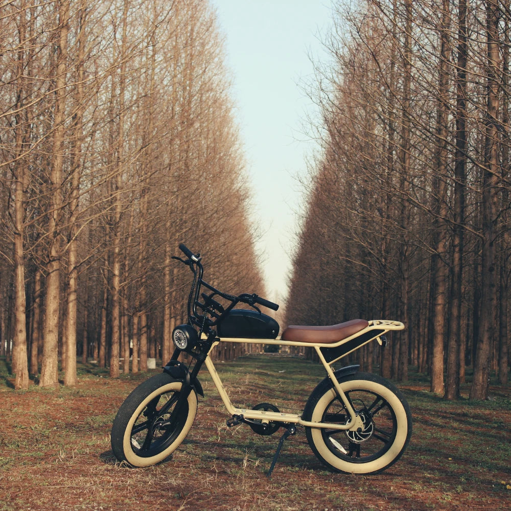 Dynavolt Electric Bicycle Electric Mountain Bike Electric Fat Tire Bike Removable Battery Long Range Dirt Ebike for Adults