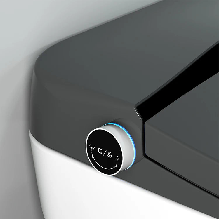 Automatic flushing without water tank integrated black electronic intelligence