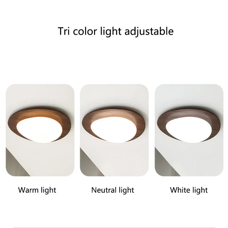 Modern Japanese Style Iron Ceiling Light Disc Shape IP44 Home Decor Porch Corridor Balcony Lamp Hotel Bedroom