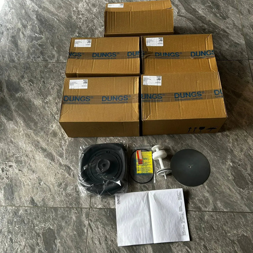 FRS 5065 DN65 Repair Kit German Dungs Gas Pressure Regulator FRS 5065 DN65 Spare Parts in Boiler