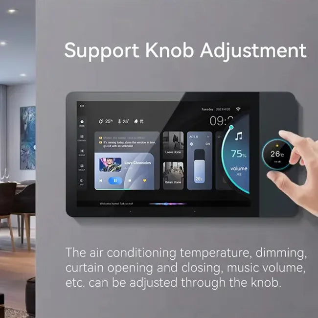 DUOMEI 10-Inch Tuya Smart Home Control System WiFi PC Glass Smart Central Control Screen Smart Switch Background Music Zigbee