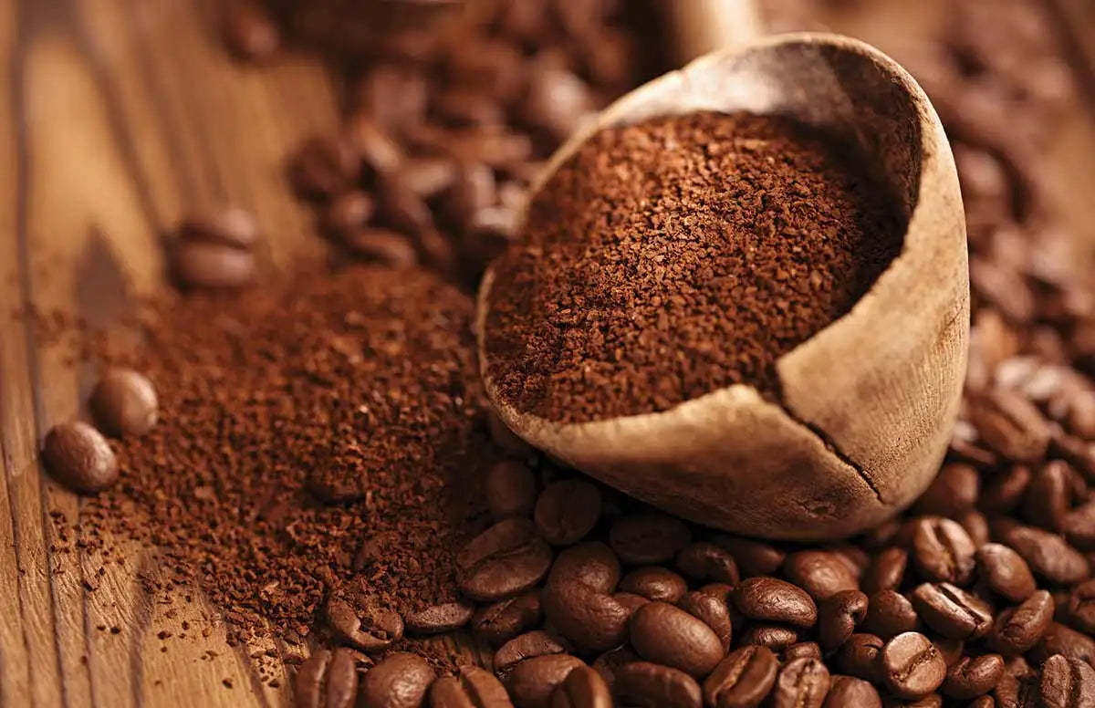 High Grade Vietnamese Robusta Roasted Whole Bean Coffee 100% Single Origin 1kg/Bag Custom Packaging OEM/ODM Available IIglobal