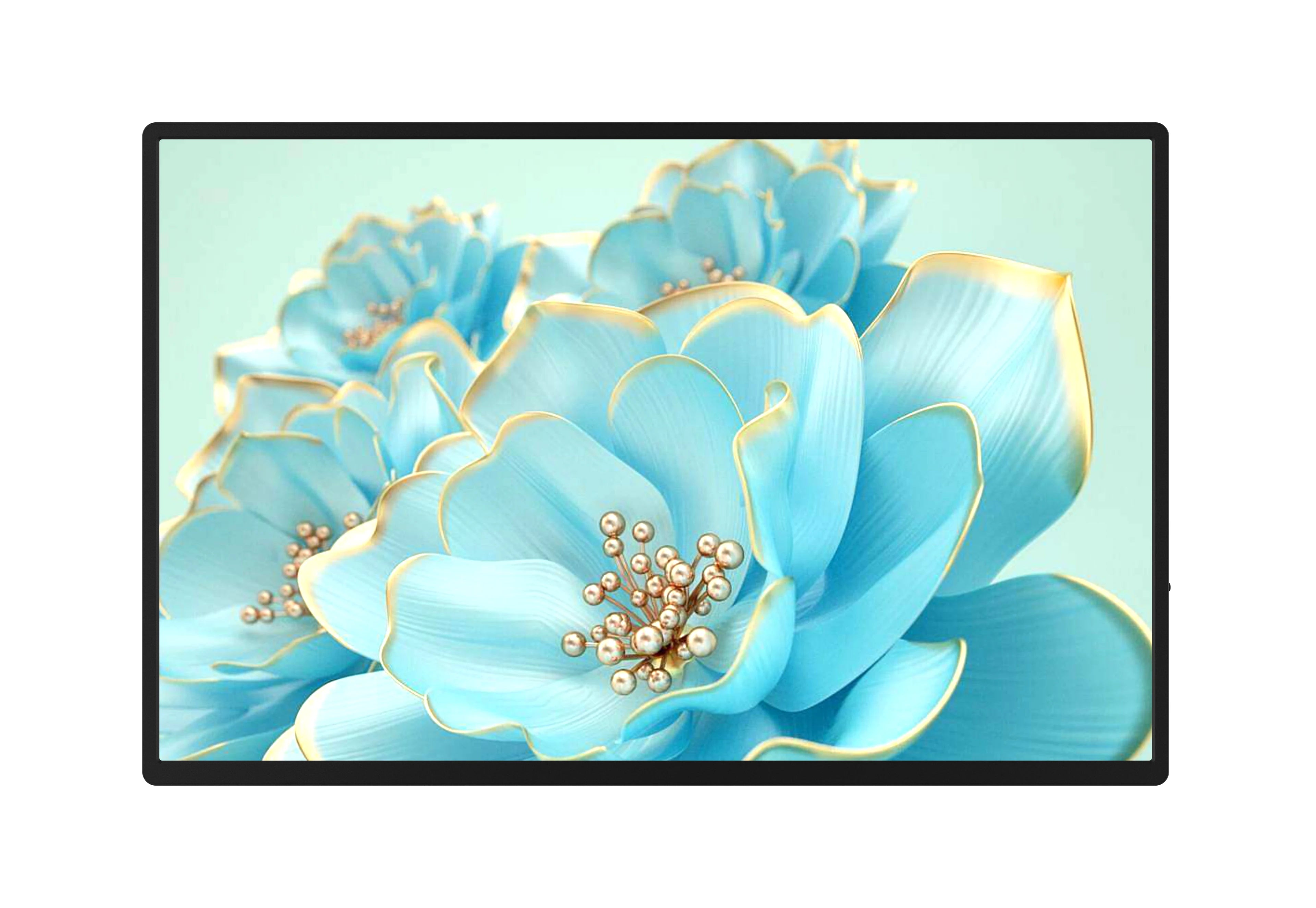 13.3 15.6 18.5 Inch IPS FHD 1080P 60HZ  PC Laptop External Screen Dual Monitor LCD Type C Interface Portable Monitor