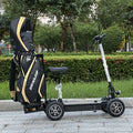 4 Wheel Dual Motors Drive Electric Scooter 4x4 Electric Vehicle Golf Cart