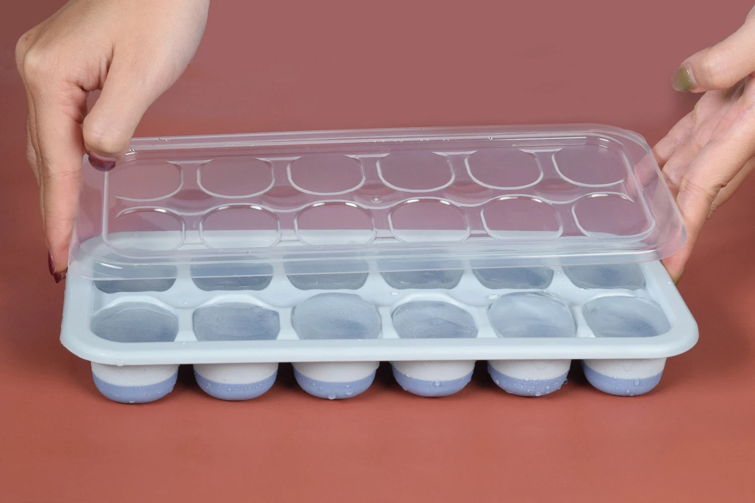 SB TECH New Single Piece Package Rectangle Polypropylene Blue 12-Cube Ice Tray Lid Container-Freezer Proof -60F 45F Heat