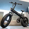 Europe and USA 250W Cruise Speed Electric Bike City and Off-Road 20 Inch Mountain Ebike with Rear Hub Motor for Man
