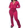 Ladies 2pcs Flare Pants Outfit Gym Wear Sweatpants and Hoodie Velour Joggers Sweatsuits Velvet Two Piece Set Tracksuit for Women