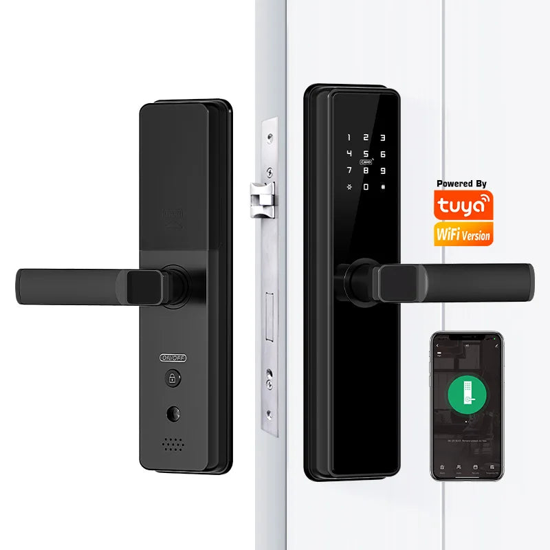 Manufacturer Low Price Smart Entry Door Lock Keyless Golden Supplier Lock Door Smart Gate Outdoor Digital Lock for Hone