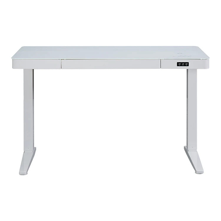 Modern Electric Standing Desk with Tempered Glass Desktop Dual Motor Height Adjustable Ergonomic Home Office Desks with Drawers