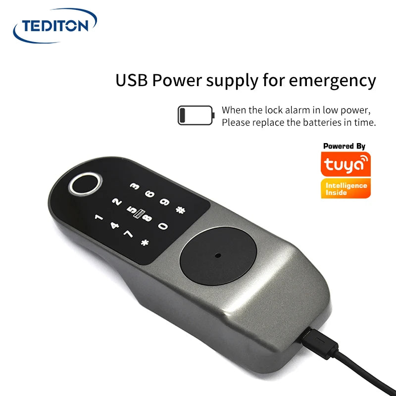 Tediton Waterproof Tuya APP Multi Languages Systrm Smart Digital Rim Door Lock for Gate Door