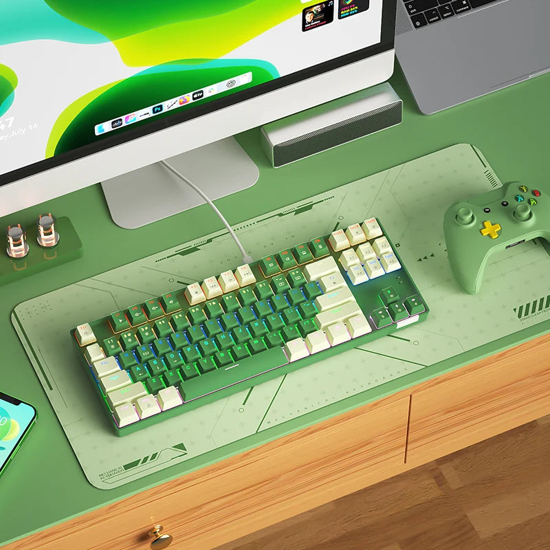 BOW New Arrival Hot Swap Ergonomic ABS Keycaps USB Type-c Wired Gaming Mechanical Keyboard for Computer Laptop