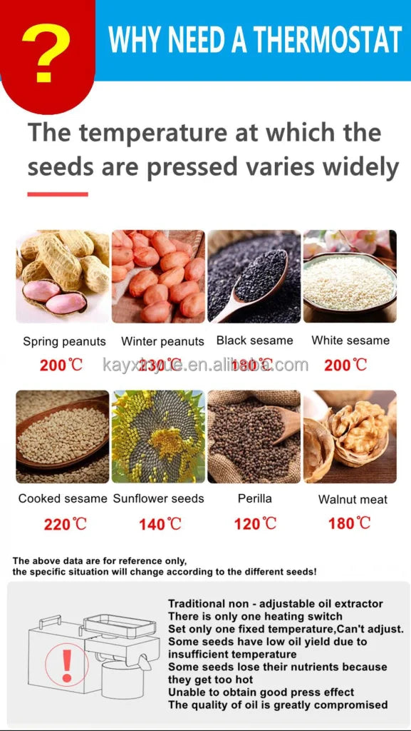 Automatic Home Use Cold Press Oil Machine Coconut Oil Extractor Automatic Grade for Olive Sesame Oil for Cooking Edible Purpose