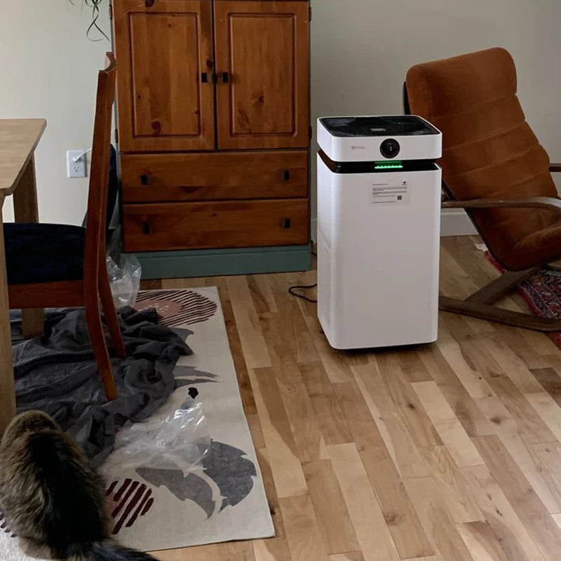 Airdog Patented Air Purifier Large with Washable Filter and Carbon Filter