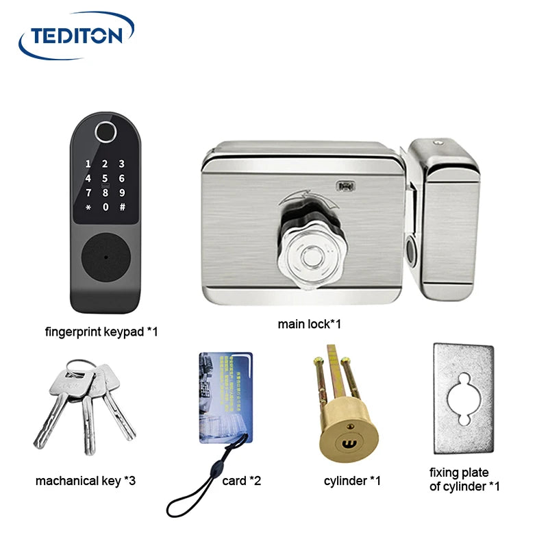 Tediton Waterproof Tuya APP Multi Languages Systrm Smart Digital Rim Door Lock for Gate Door