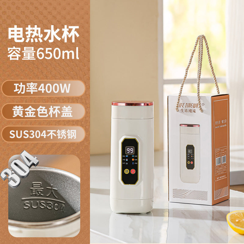 Insulated Cup That Can Boil Water, Portable Electric Water Cup for Travel and Hotels, 304 Stainless Steel Electric Hot Water Cup