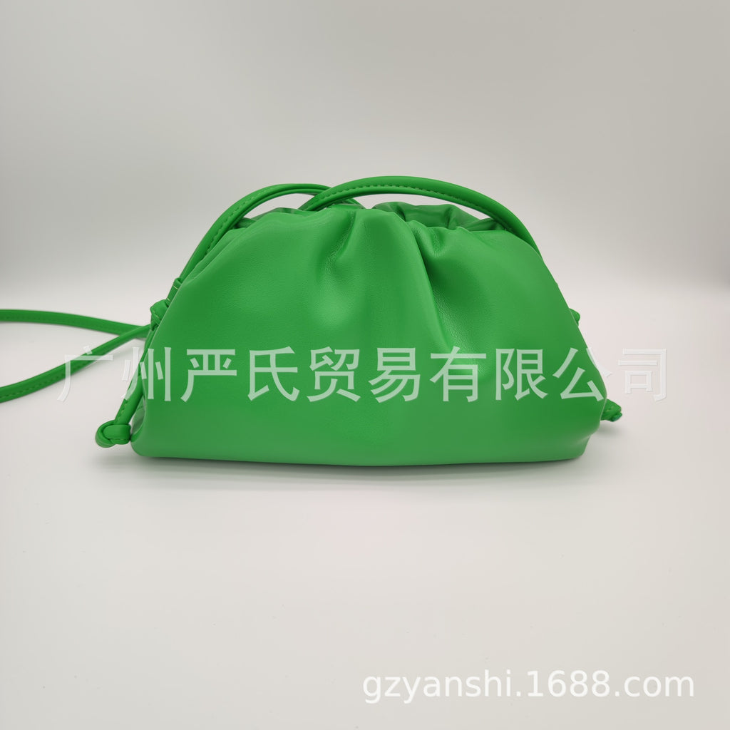 Zebra Pattern Cloud Bag Cross-border Women's Bag Pleated Dumpling Bag New Autumn and Winter Fashion Shoulder Crossbody Bag Hand-held Women's Bag