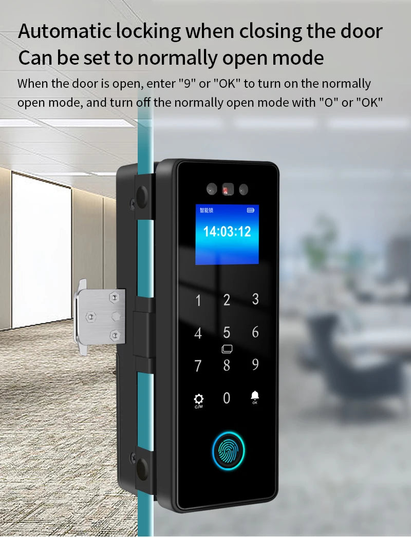 3D Face Tuya Wifi Electronic Smart Glass Door Lock With Biometric Fingerprint/RFID Card /Password Unlock/USB Emergency Charge