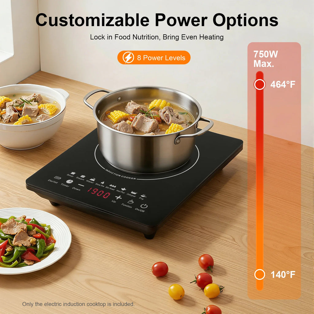 Portable Induction Burner, 750W Electric Induction Countertop Burner with Touch Panel, 8Cooking Preset Programs, Temp Adjustable for Home RV Dorm