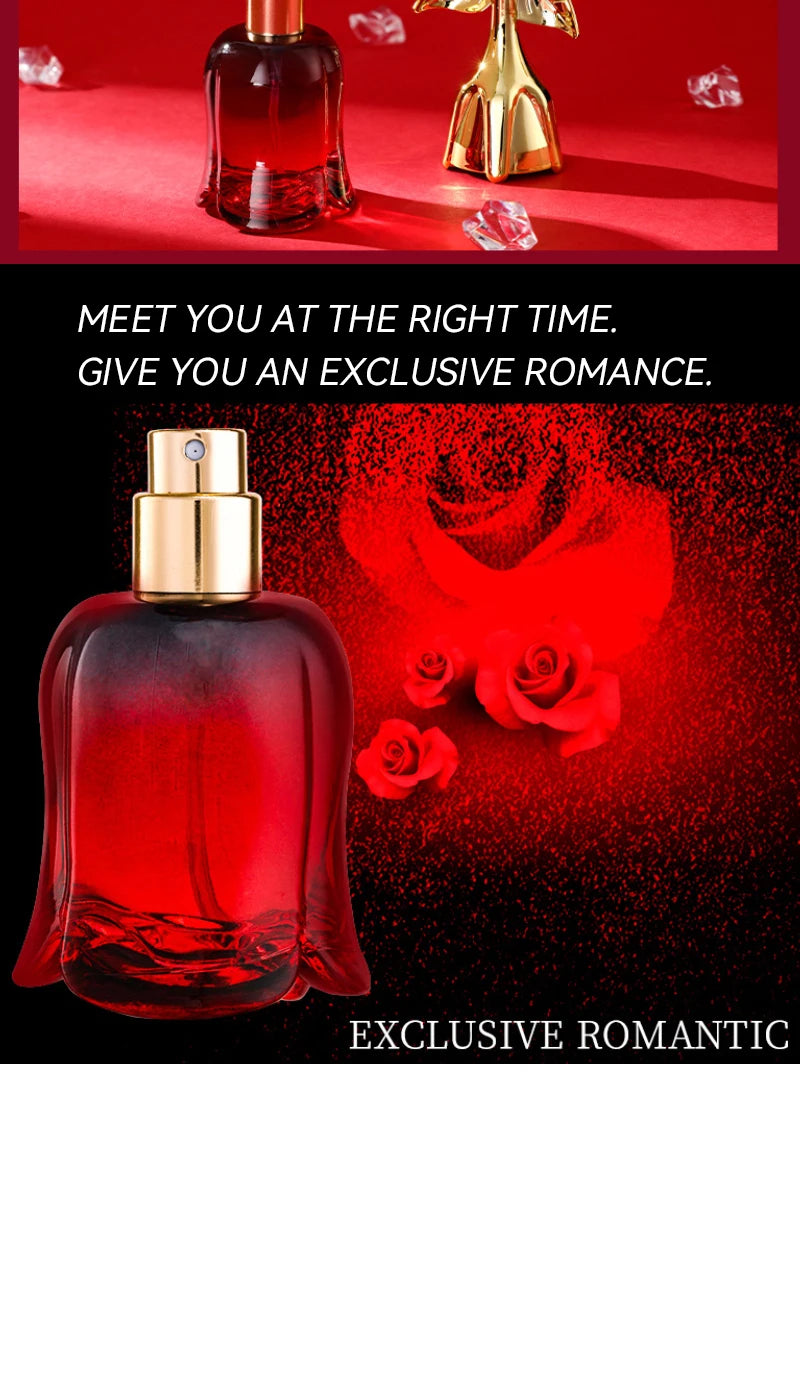WARMKISS Midnight Rose Women Perfume Long Lasting Fresh Eau De Parfum 50ml Natural Floral Niche Scent For Romantic Date