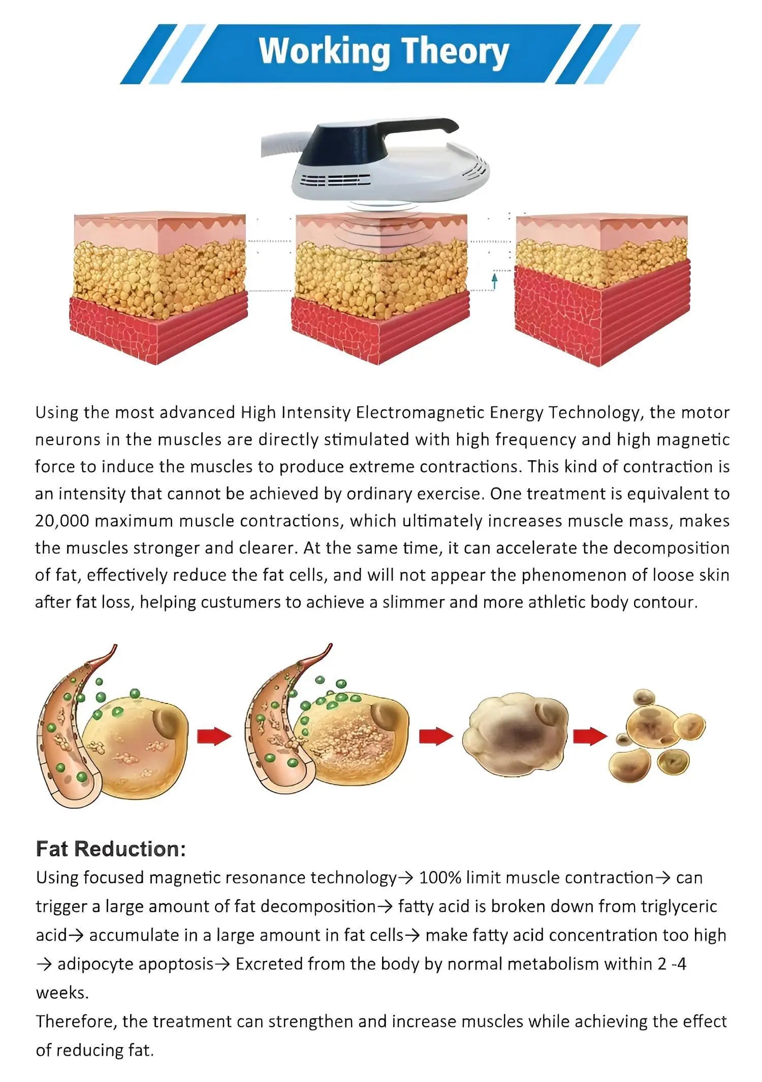 2026 Portable Body Slimming Machine Upgrade 15T Muscle Trainer RF for Home Use 36000 Contractions Session Portable Body Toner Fo