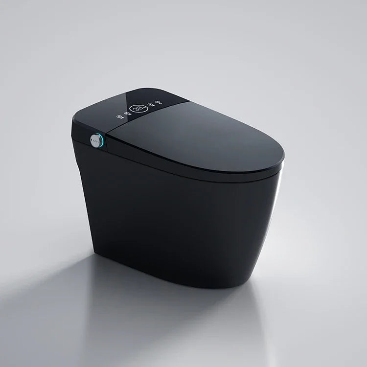 Matte Black Bidet Floor Smart Toilet S Trap Toilets With Bidet Ceramic Wc