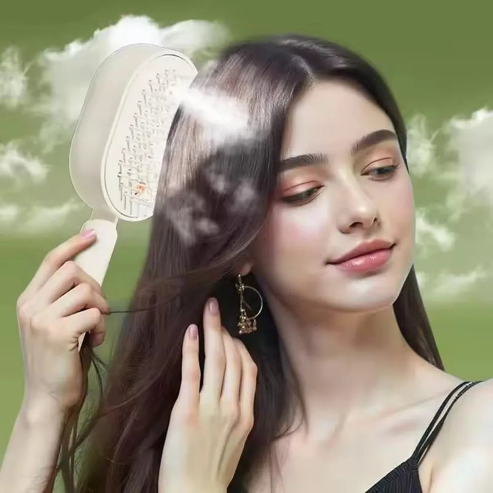 Electric Steam Brush with Water Spray Wet Electrics Hairbrush USB-C Charging for Detangling Smoothing Styling & Frizz Control