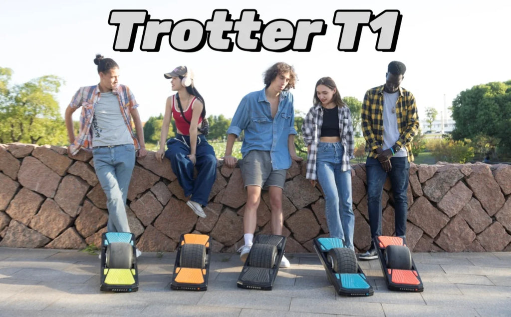 Trotter Electric Unicycle Electric Skateboard 12.4mph 11in Tire 250Wh Battery 700W Motor With One Wheel Only