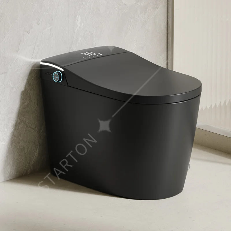 Modern Bathroom Smart Toilet Black Ceramic  Electronic Control Bidet Toilet